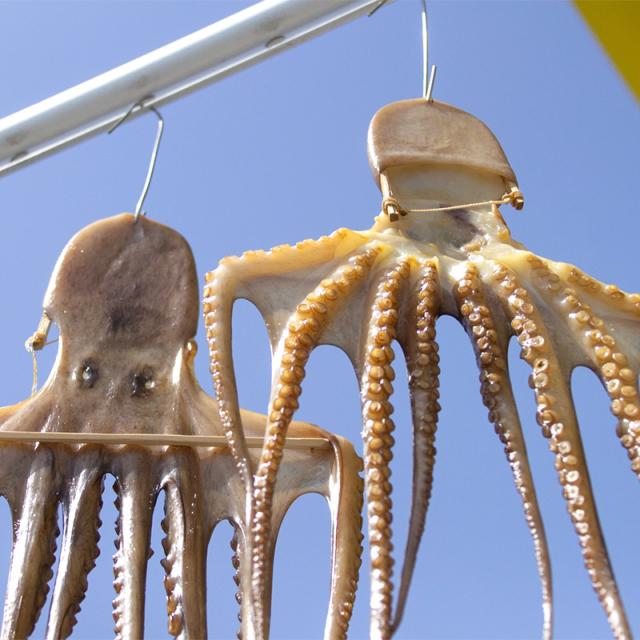 タコめしgoo セット 3個入 たこ 蛸飯 熊本 九州 お取り寄せ グルメ 時短 ご当地 手軽 弁当 常備食 干しダコ ギフト プレゼントの通販はau Pay マーケット メルカートくまもと