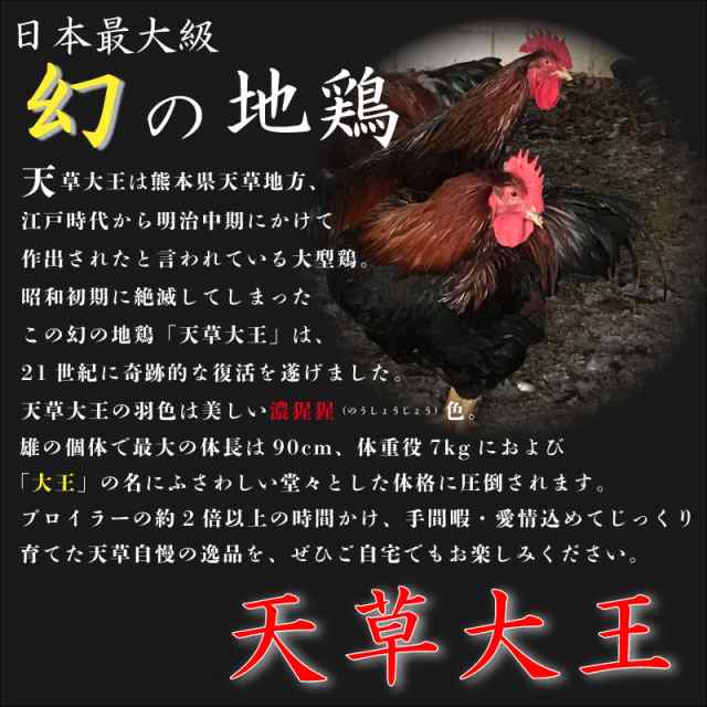 天草大王一羽丸ごとセット】贈答用 産地直送グルメ 地鶏 熊本県産 鶏肉 モモ肉 ムネ肉 ササミ 手羽先 手羽元 レバー 砂ズリ 鶏鍋の通販はau  PAY マーケット - メルカートくまもと