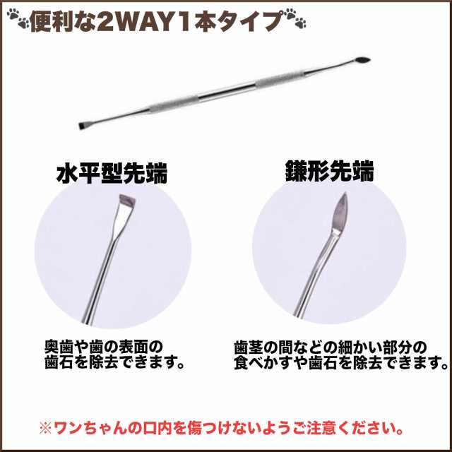 スケーラー 犬 ペット用 歯石取り 歯石除去 犬猫用 ダブルヘッド 愛犬 愛猫 口臭予防 2wayの通販はau Pay マーケット 良安商店