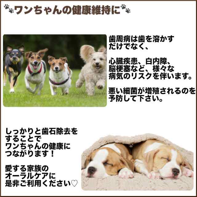 スケーラー 犬 ペット用 歯石取り 歯石除去 犬猫用 ダブルヘッド 愛犬 愛猫 口臭予防 2wayの通販はau Pay マーケット 良安商店