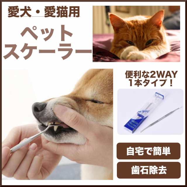 出産祝い 歯石取りスケーラー ペット 犬用 猫用 ペット用 歯石除去