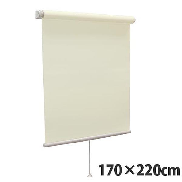 『代引不可』『高品質＆高機能』 規格品『ティオリオ』 ロールスクリーン 無地防炎 170×220 TR-3148 ペールグリーン 『返品不可』【送料無料（一部地域除く）】の通販は