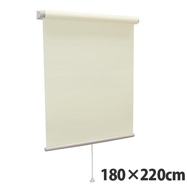 『代引不可』『高品質＆高機能』 規格品『ティオリオ』 ロールスクリーン 無地防炎 180×220 TR-3148 ペールグリーン 『返品不可』【送料無料（一部地域除く）】の通販は 10,541円