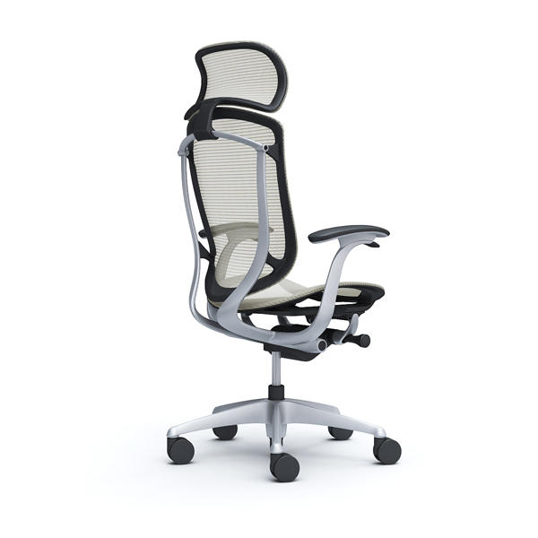 裁断済み 結果の出せる評価と治療 : ー末梢神経とエコーから紐解く痛み