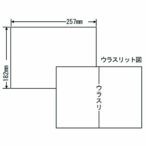 『代引不可』C1B5F ラベルシール 再剥離タイプ B5 100シート×10箱 『返品不可』『送料無料（一部地域除く）』