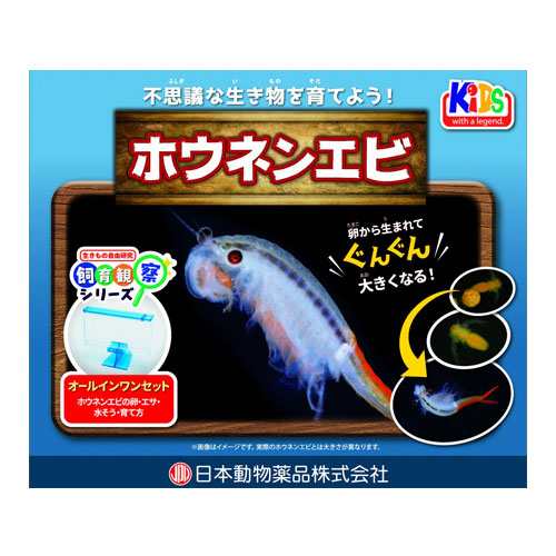 ニチドウ 飼育観察セット ホウネンエビ 飼育 観察 自由研究 育てる 生き物 豊年蝦 セットの通販はau PAY マーケット - よろずやマルシェ |  au PAY マーケット－通販サイト