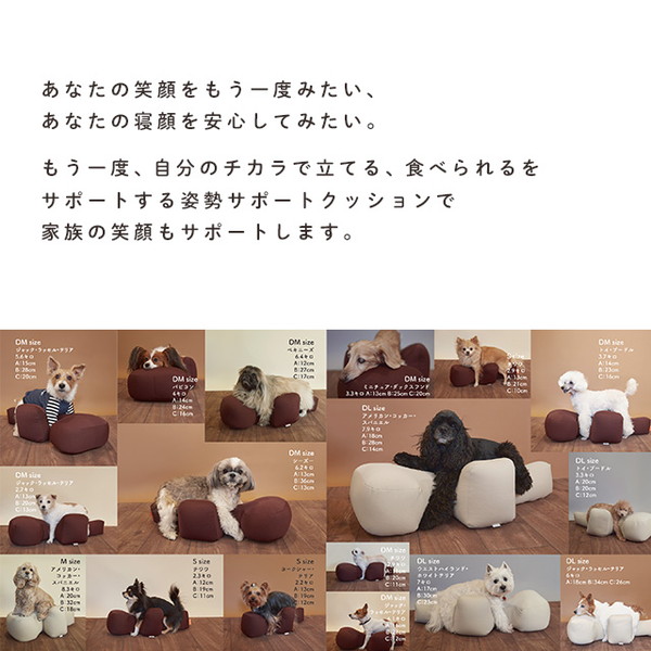 『取寄品』アロン化成 OneAid リラクッション L ブルー ペット用品 犬用品 犬用 犬 クッション 姿勢 サポート『送料無料（一部地域除く）』_3