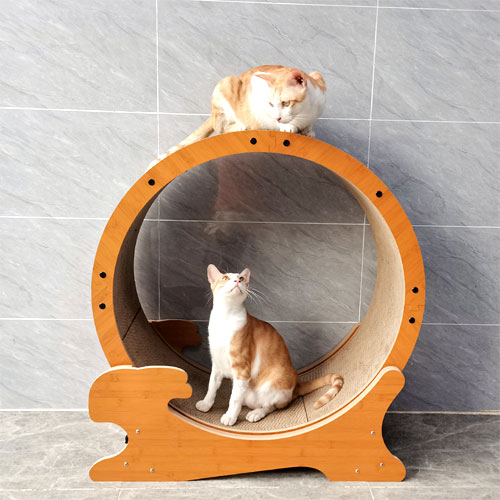 『売りつくし』キャットホイール ペットプロ キャットランニングマシン Mサイズ 爪とぎ 段ボール キャットランナー『送料無料（一部地域除く）』