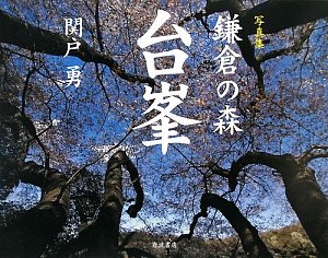 写真集 鎌倉の森 台峯(中古品)の通販は