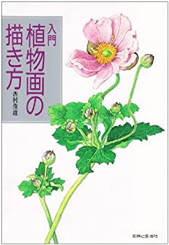 入門 植物画の描き方(未使用 未開封の中古品)の通販は