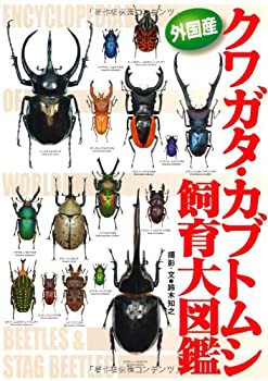 外国産クワガタ・ガブトムシ飼育大図鑑(未使用 未開封の中古品)の通販はau PAY マーケット - 丸山企画 | au PAY マーケット－通販サイト