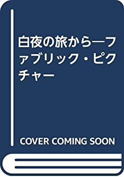 白夜の旅から—ファブリック・ピクチャー(中古品)の通販は