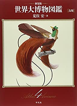鳥類(中古品)の通販は