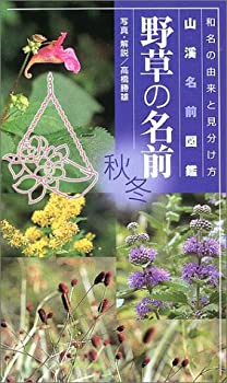 野草の名前秋・冬—和名の由来と見分け方 (山渓名前図鑑)(未使用 未開封の中古品)の通販は