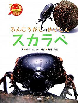 ふんころがしのめいじんスカラベ (ファーブルえほん昆虫記)(中古品)