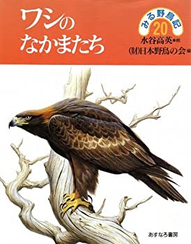 ワシのなかまたち (みる野鳥記)(中古品)の通販は