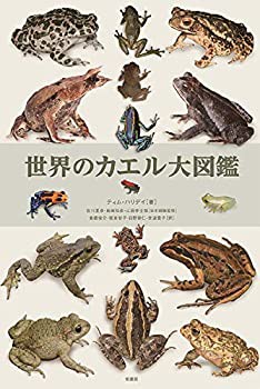 世界のカエル大図鑑(中古品)