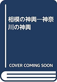相模の神輿—神奈川の神輿(中古品)の通販は
