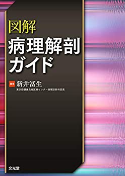 図解病理解剖ガイド(中古品)