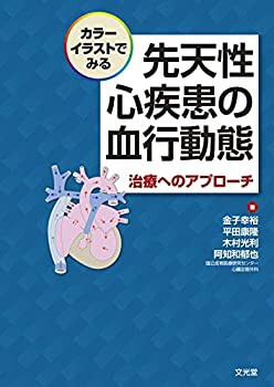 カラーイラストでみる　先天性心疾患の血行動態　治療へのアプローチ(中古品)