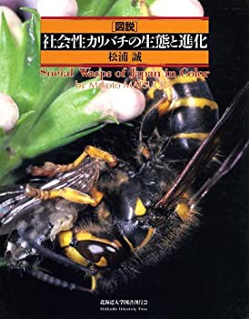 図説社会性カリバチの生態と進化(未使用 未開封の中古品)