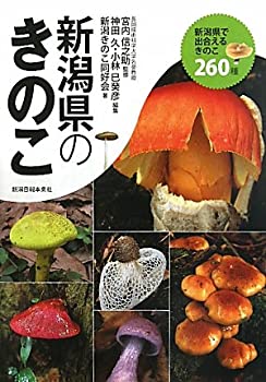 新潟県のきのこ(中古品)の通販は