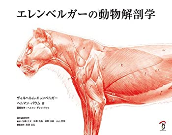 エレンベルガーの動物解剖学(未使用 未開封の中古品)の通販は