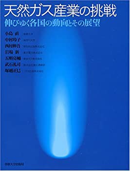 天然ガス産業の挑戦—伸びゆく各国の動向とその展望(未使用 未開封の中古品)の通販は