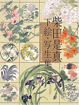 人気満点 のはらのまんなかいえ一けん (太平ようねん童話 (1980年) その他
