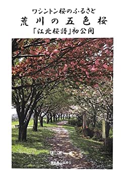 【中古】 彼岸の時間 〈意識〉の人類学 新装版/春秋社（千代田区）/蛭川立 bkrsolcvclesondn.jpg