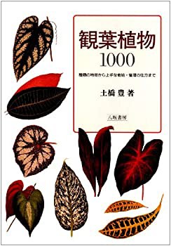 観葉植物1000—種類の特徴から上手な栽培・管理の仕方まで(中古品)