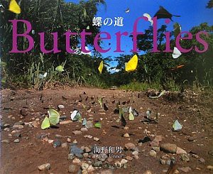 蝶の道—Butterflies(未使用 未開封の中古品)