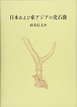 日本および東アジアの化石鹿(中古品)の通販は