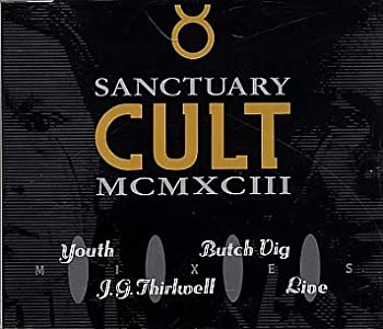 Sanctuary Mixes Vol I(未使用 未開封の品) 音楽CD・DVD 