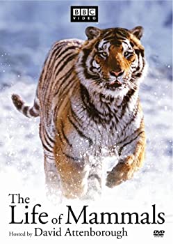 Life of Mammals 1-4 [DVD] [Import](未使用 未開封の中古品)の通販は