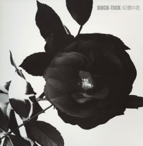 幻想の花 (初回限定生産盤)(未使用 未開封の中古品)の通販は 11,655円