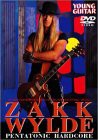 YOUNG GUITAR PRESENTS GUITAR INSTRUCTIONAL VIDEO ペンタトニック・ハー (未使用 未開封の中古品)の通販は