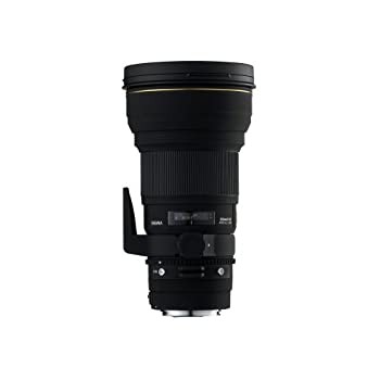 【中古品】SIGMA 単焦点望遠レンズ APO 300mm F2.8 EX DG HSM ニコン用 フルサイズ対 (中古品)