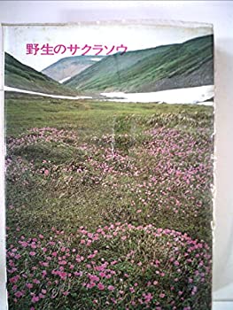 パブロック革命 - ウィル・バーチ Amazon.co.jp: パブロック革命 : ウィル バーチ, Birch,Will, 英