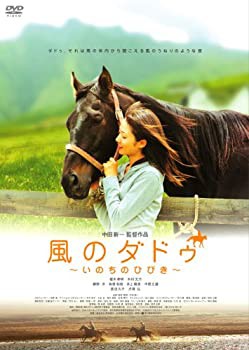 【中古品】風のダドゥ ~いのちのひびき~ [DVD](中古品)の通販は