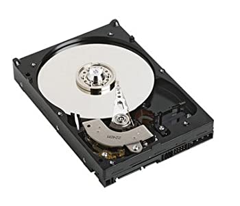 【中古品】WESTERN DIGITAL 3.5インチ内蔵HDD 1TB Serial-ATA 7200rpm 32MB WD1001FAL(中古品)の通販は
