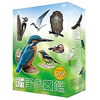 レインボー戦隊ロビン BOX1 DVD-BOX Amazon.co.jp: レインボー戦隊ロビン DVD‐BOX 1 : 里見京子, 新