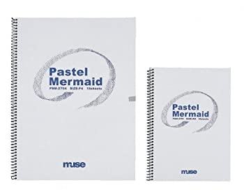 【未使用 中古品】ミューズ パステル紙 パステルマーメードブック F6 186ｇ 絹,ライトグレー,(中古品)の通販は 6,971円