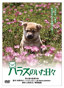「きな子~見習い警察犬の物語~」DVD発売記念 犬だワンダフルキャンペーン  (未使用 未開封の中古品)の通販は