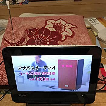 【未使用 中古品】TOSHIBA REGZA 防水対応ポータブルDVD SD-P100WP(中古品)