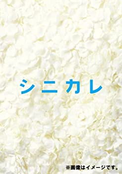 シニカレ完全版 DVD-BOX(未使用 未開封の中古品)の通販は