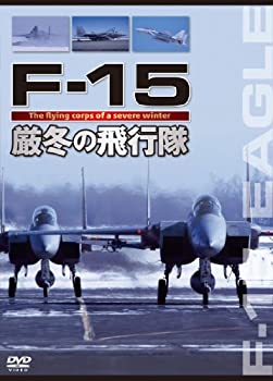 F-15 厳冬の飛行隊 [DVD](未使用 未開封の中古品)の通販は 5,789円