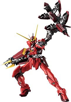 【中古品】ROBOT魂 [SIDE MS] テスタメントガンダム(中古品)