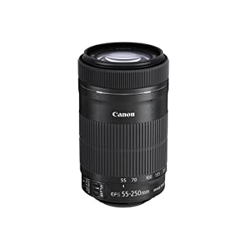 【中古品】Canon 望遠ズームレンズ EF-S55-250mm F4-5.6 IS STM APS-C対応 EF-S55-250(中古品)