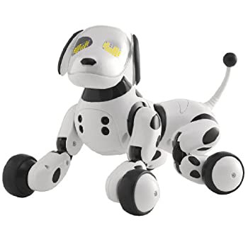 Omnibot Hello! Zoomer(未使用 未開封の品) ロシア 信憑 オムニボット